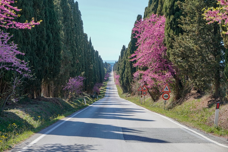itinerai in auto in italia - toscana
