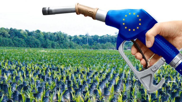 La UE dà il via libera ai carburanti alternativi