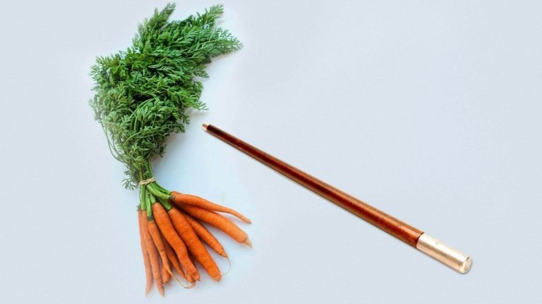 Meno carota e più bastone: come le tasse possono spingere verso l’elettrico