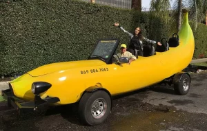 auto-banana-record