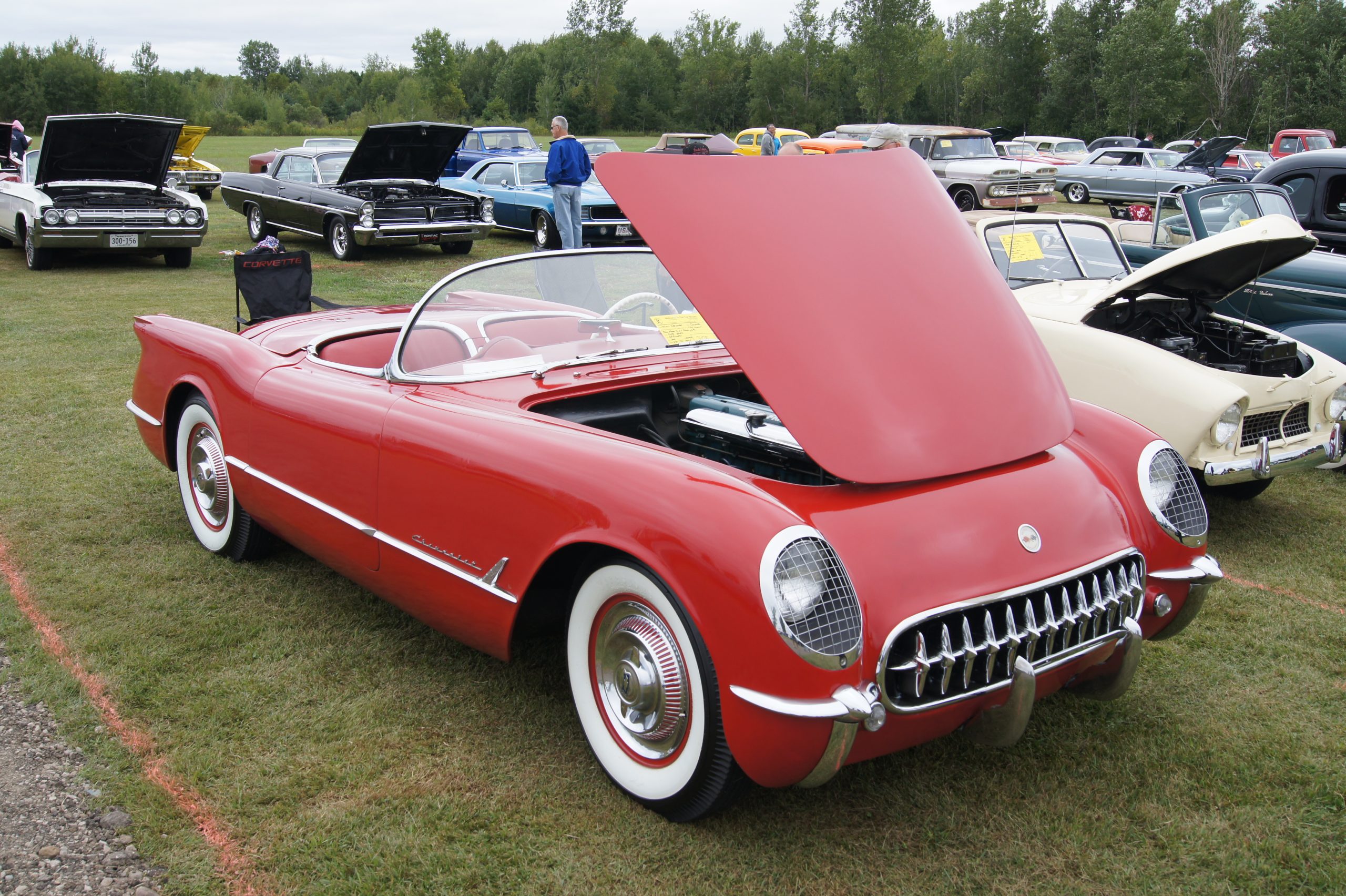 Di Greg Gjerdingen from Willmar, USA - 54 Chevrolet Corvette, CC BY 2.0, https://commons.wikimedia.org/w/index.php?curid=40122231