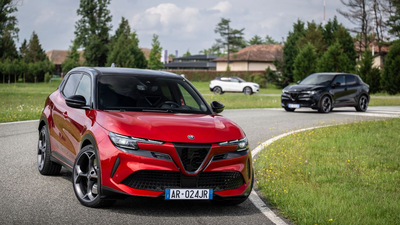 balocco-alfa-romeo